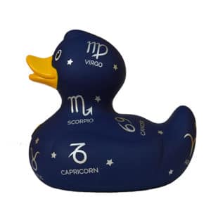 Zodiac-rubber-duck