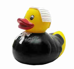 Paperella di gomma avvocato