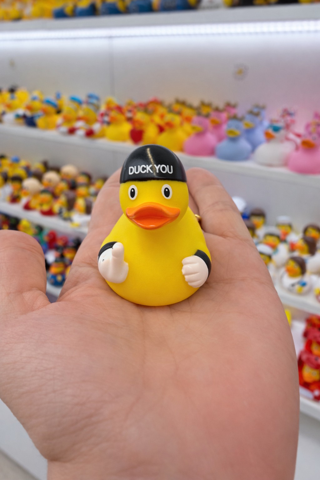Mini Duck You - immagine 3